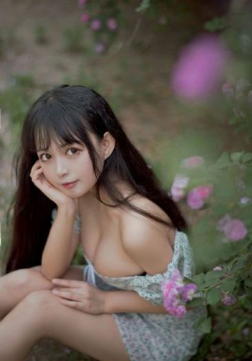 一寸山河一寸血_BD电影在线观看