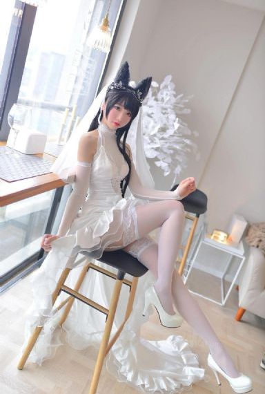 《皇家国教骑士团》动漫_720免费观看超清
