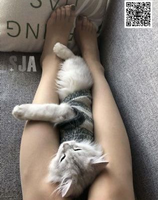 槟榔西施电影_高清高清完整版